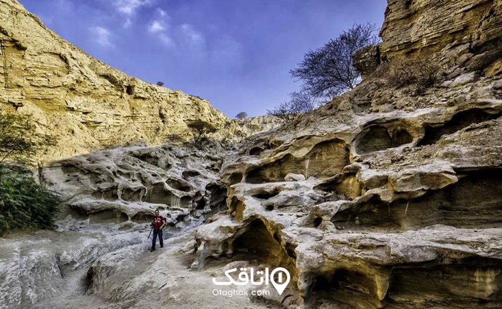تنگه چاهکوه