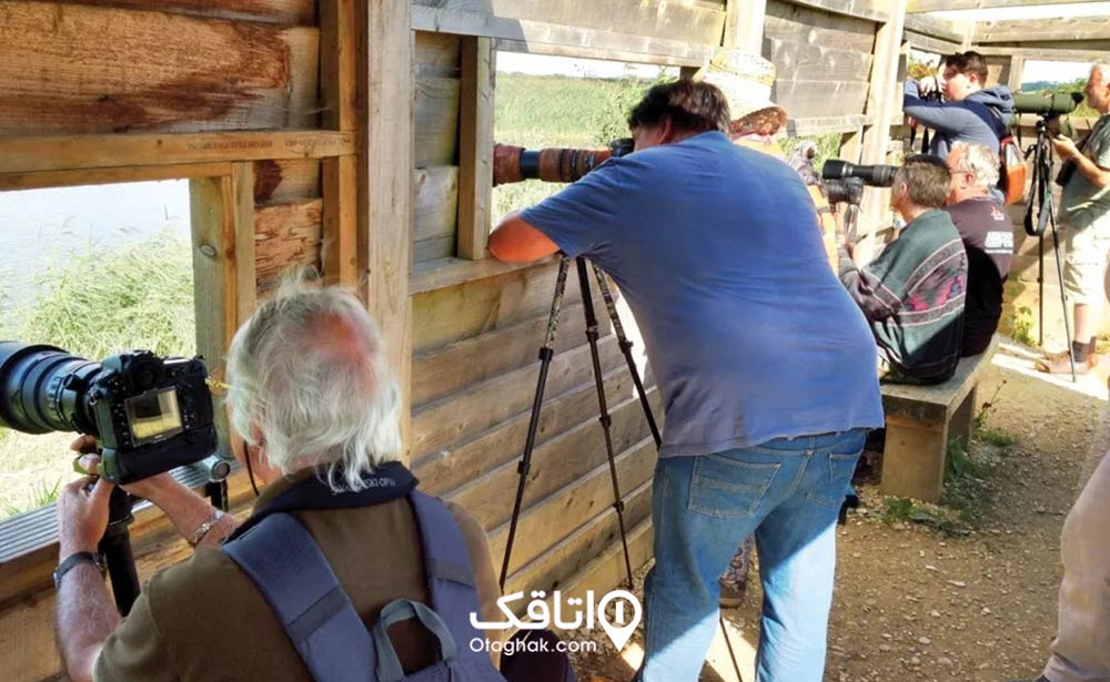 پرندهنگری در سهیلی