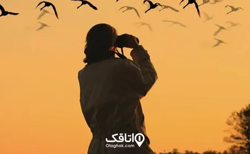 پرندهنگری در سهیلی