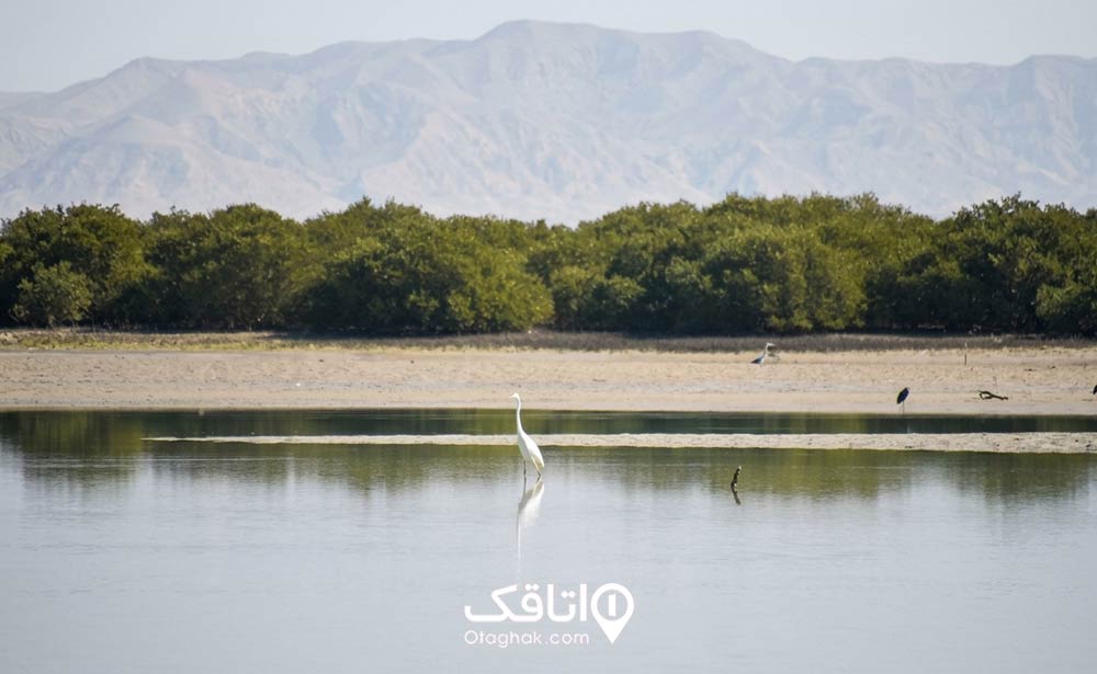پارک ملی نایبند