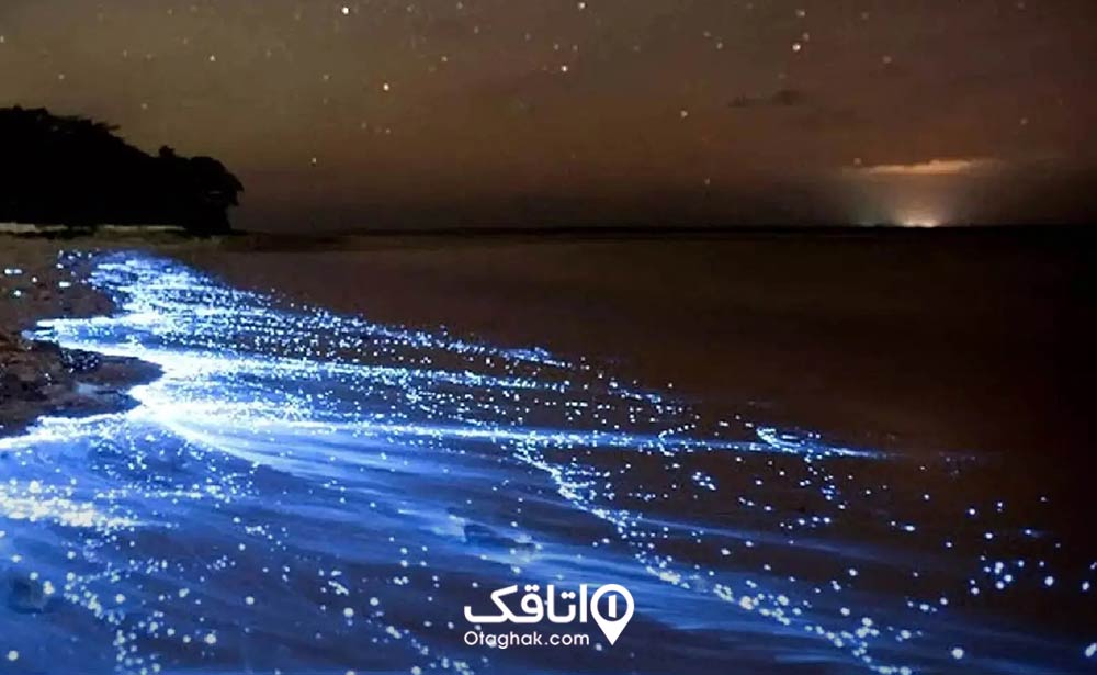 ساحل بنود عسلویه