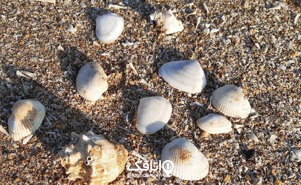 ساحل هلیله