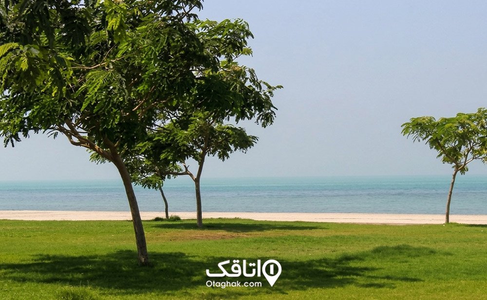 پارک ساحلی شغاب