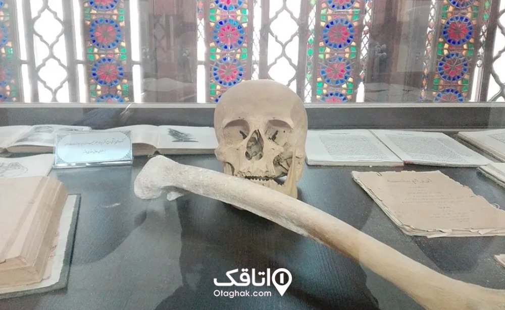 اسناد و کتب خطی
